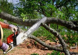 Best Soil Testing and Treatment  in La Crosse, WI