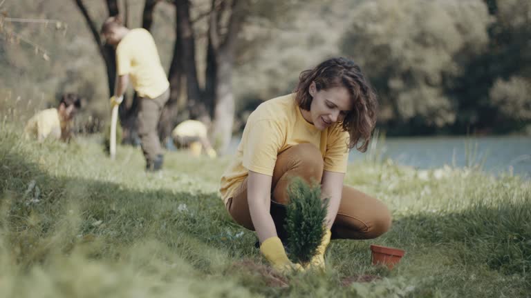 Best Tree and Shrub Care  in La Crosse, WI