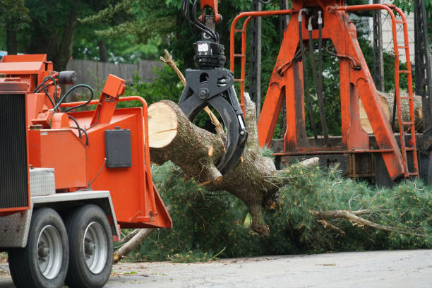 Best Weed Control  in La Crosse, WI